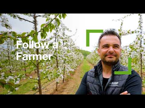 Follow a Farmer – Nikos Theodorou S1E1| Cherry Farming in Greece 🍒