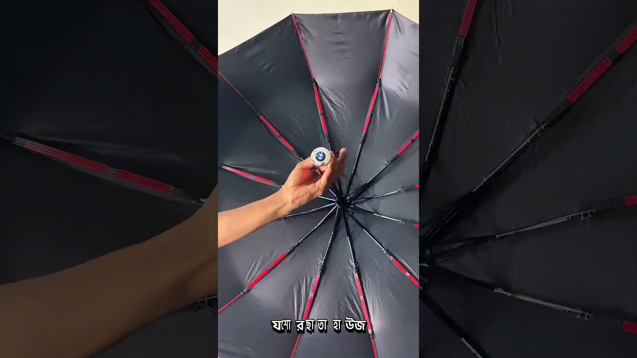 BMW Umbrella