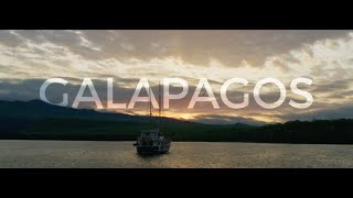 Galapagos Islands 3 Hours  Meditating Diving 4K screenshot 1