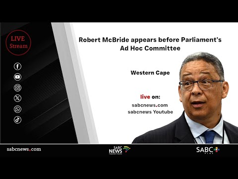 Robert McBride Appears Before Parliament S Ad Hoc Committee 20 January 2026 