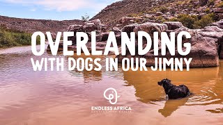 We took our dogs overlanding with Endless Africa