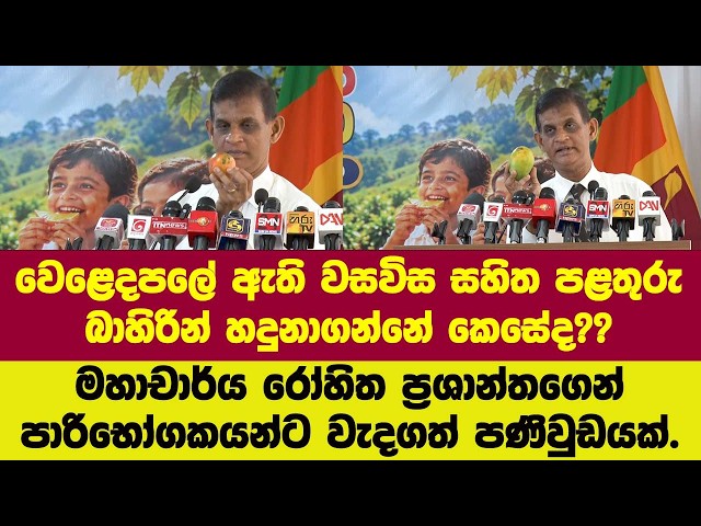 වෙළෙදපලේ ඇති වසවිස සහිත පළතුරු බාහිරින් හදුනාගන්නේ කෙසේද??මහාචාර්යා දුන් විශේෂ උපදෙස.
