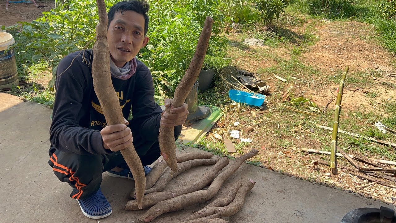 ห่อขนมเทียนมัน5นาทีครั้งแรกอร่อยมาก