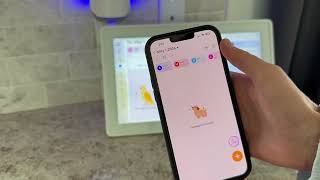 Digital Family Calendar Review: Command Center or Gimmick?