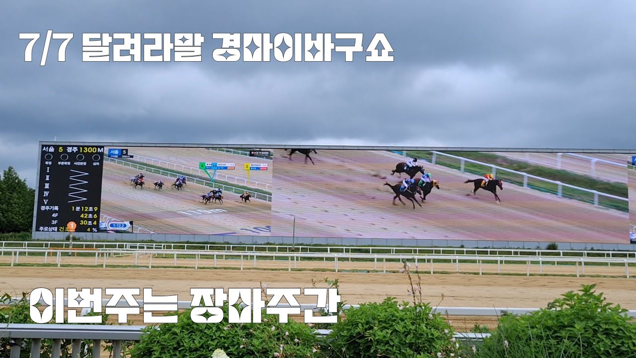 경마 이기는방법은 없으나즐기는방법은 있다?(화요 경마이바구쇼)