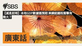 【減息前哨】本地GDP數據遜預期 美鋼鋁關稅衝擊有幾大？ | SBS Cantonese - SBS廣東話節目