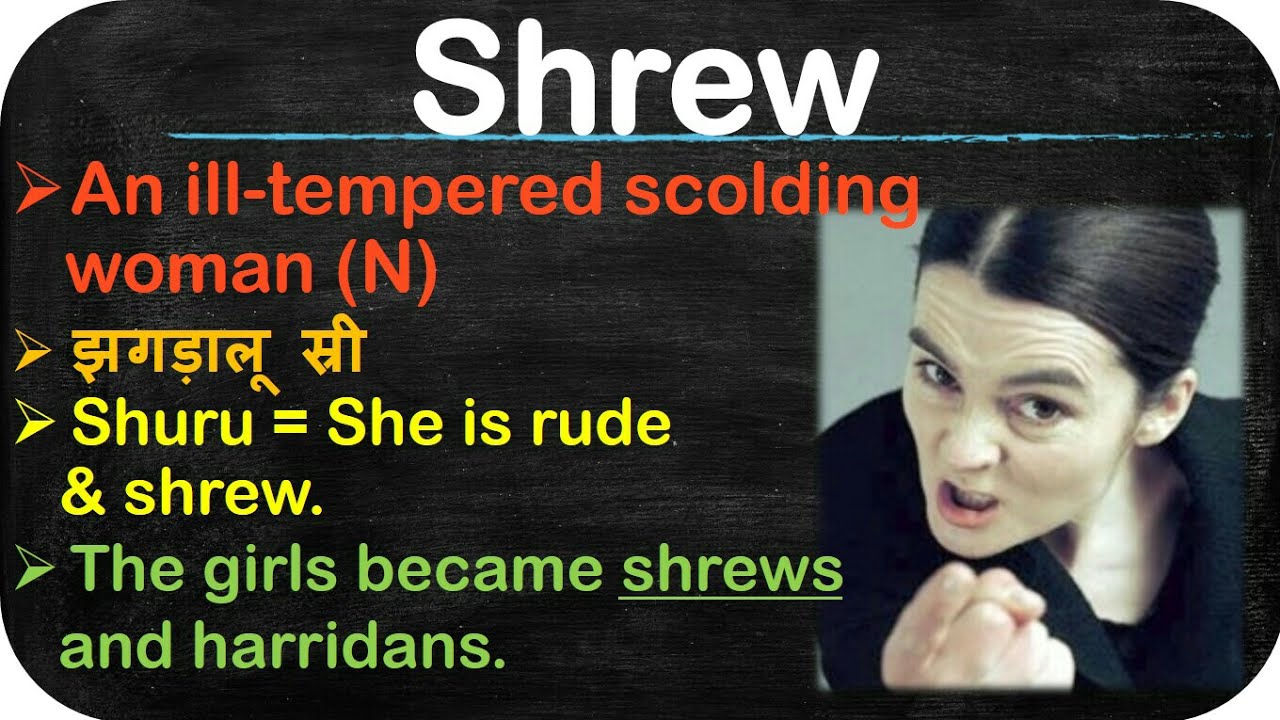 60 Examiner s Most Favourite Words Meaning Of Shrew With Picture 60 Examiner s Most Favourite Words Meaning Of Shrew With Picture
