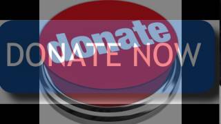 Online Donation Tools to Delight Your Donors