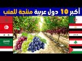 من هي اكبر دولة عربية في زراعة و انتاج العنب   تصنيف جديد لأكبر    محاصيل عنب عند الدول العربية     