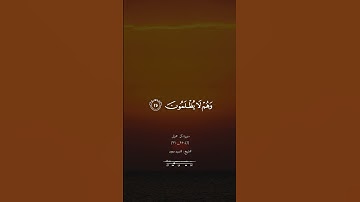 تلاوة عطرة للشيخ سيد سعيد #قران_كريم #القران_الكريم #اكسبلور #لايك #الله #قرآن #quran