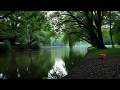 Serene Soundscapes to Boost Your Creativity