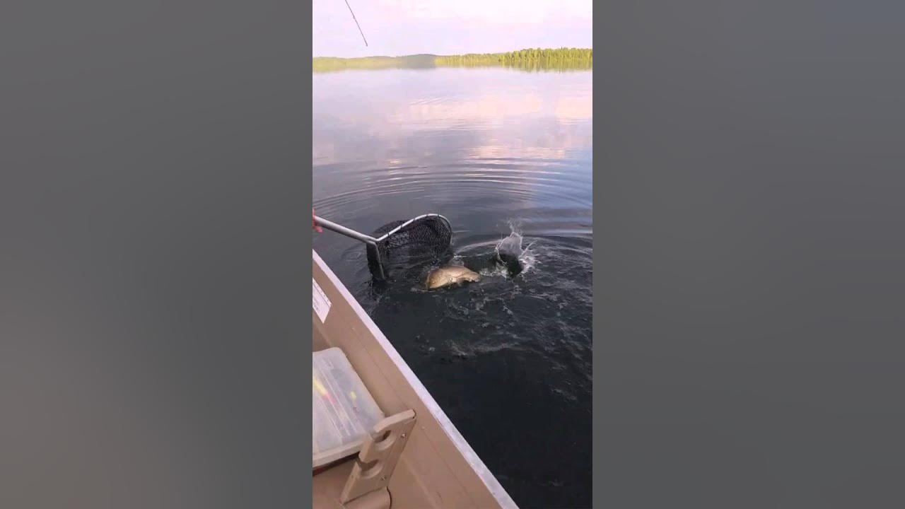 Lake Trout Fishing Raleigh Lake, Ignace Ontario YouTube
