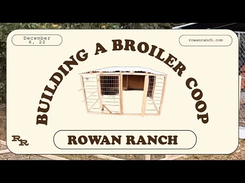 Building a Broiler Coop
