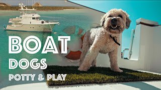 DOGS ON A BOAT! #42 How dogs go to the bathroom and play on our Nordhavn 55 yacht!