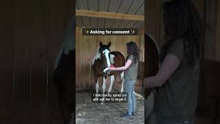 What does it mean for horses to have a choice?  #positivereinforcementhorsetraining #horsetraining