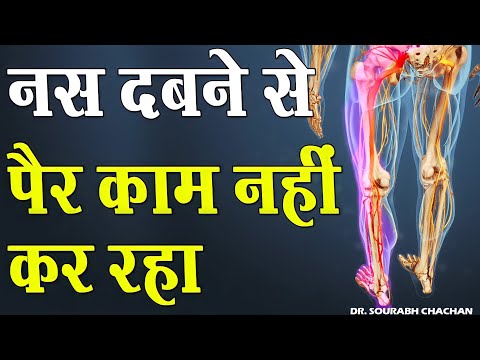 वीडियो: क्या आपके कुत्ते को एक्यूपंक्चर होना चाहिए?