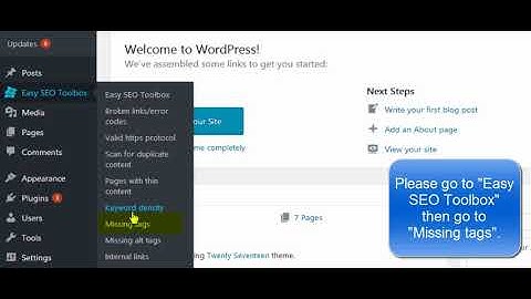 Easy SEO Toolbox  Missing Tags Tutorial