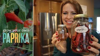 How to Grow Your Own Paprika for Your Pantry (Easy Homegrown Spices Series) by Beginner's Garden - Journey with Jill 2,395 views 2 months ago 5 minutes, 53 seconds