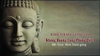 KINH NIKAYA GIẢNG GIẢI - Không Buông Lung Phóng Dật 3