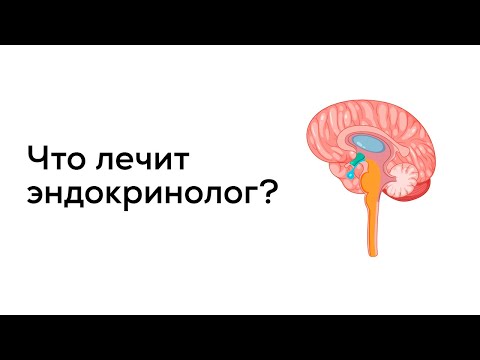 Что лечит врач-эндокринолог?
