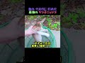 魚を釣りに行ったら、異次元の大物(?)が釣れちゃいました