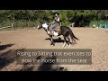 Trotting Exercises - rising trot and slowing the horse to a sitting trot with your seat