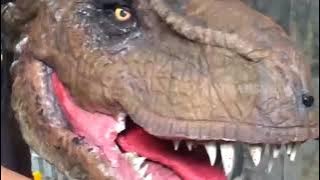 Mengintip Dibalik Pembuatan Cosplay Dinosaurus | SI OTAN (16/04/21)