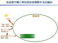 【山口大学OC2022／農学部／生物機能科学科】8 生体分子科学分野