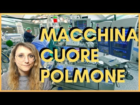 Come funziona la MACCHINA CUORE-POLMONE