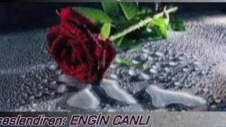 ENGİN CANLI  RÜYALAR GERÇEK OLSAYDI. ŞİİR Resimi