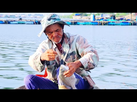 Video: Bắt Cá Tráp
