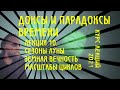 Доксы и парадоксы времени. № 10. Сезоны Луны. Дифракция вечности. Масштабности циклов