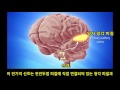 [KR] Listening Training TOMATIS® METHOD 원리 소개 화면위자막