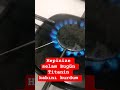 Mantis bakımı #1