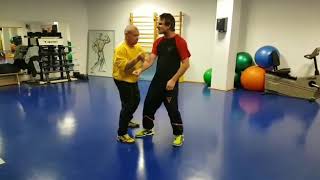 WTAA Wing Tsung Sifu Holger Anwendung tactikal freestyle application