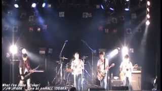 What I've Done LINKIN PARK (Cover)LIVE at OSAKA amHALL リンキンパー...