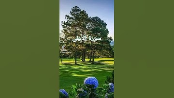 #سبح اسم ربك الأعلي الذي خلق فسوي"سورة الأعلي#Gamal Belkan