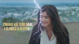 Zindagi Hai Tere Naal ( Slowed & Reverb ) Sad Lofi 