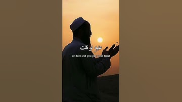 الشيخ : ماهر المعيقلي [] سورة هود[] الآيه :{88}🤍🌹