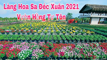 Làng hoa sa đéc xuân 2021 tại Vườn hồng tư tôn | Khương Nhựt Minh