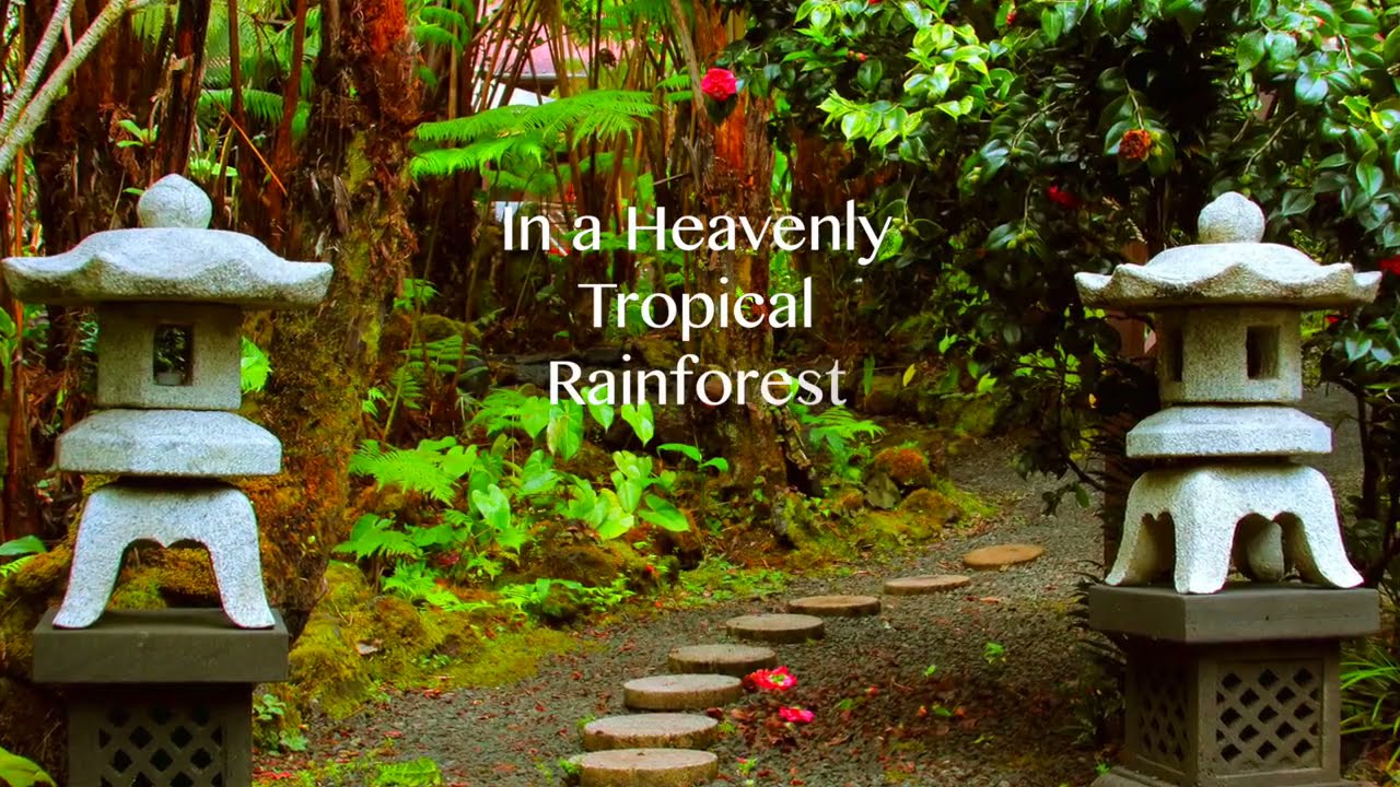 Lotus Garden Cottages Volcano, HI