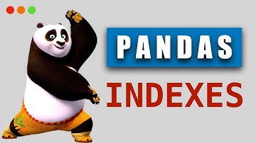 Indexes in Pandas for Beginners: How to Set, Reset, and Use Indexes in Pandas