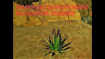 ARK SURVIVAL NEW CACTUS SAP/RAW SALT LOCATION ON RAGNAROK