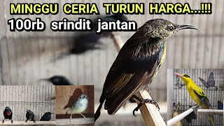 PRICE REDUCTION❗❗❗HAPPY SUNDAY 100k MALE SRINDIT❗❗❗