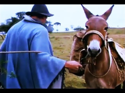 Eu acho que a cultura caipira é intocável 