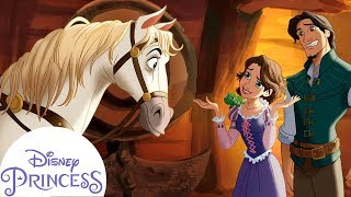 Bedtime For Max Disney Princess Read Alongs