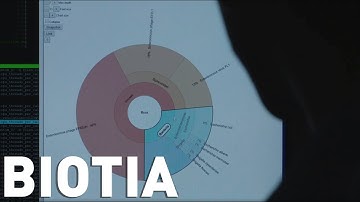 Runway Startup: Biotia