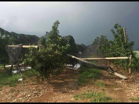 ΒΙΒΛΙΚΕΣ ΚΑΤΑΣΤΡΟΦΕΣ ΣΤΟΥΣ ΠΥΡΓΟΥΣ ΕΟΡΔΑΙΑΣ ΑΠΟ ΤΟ ΧΑΛΑΖΙ