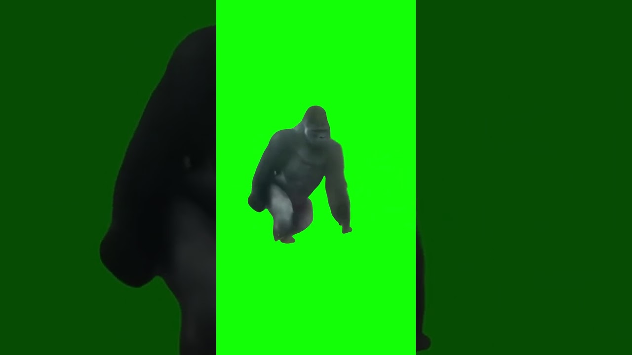 3 gorillas walking and sneaking out meme (Green Screen)