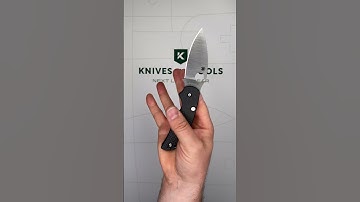 Spyderco Sage 6 Button Release Compression Lock C123CFBCLP Carbon Fiber G10 pocket knife